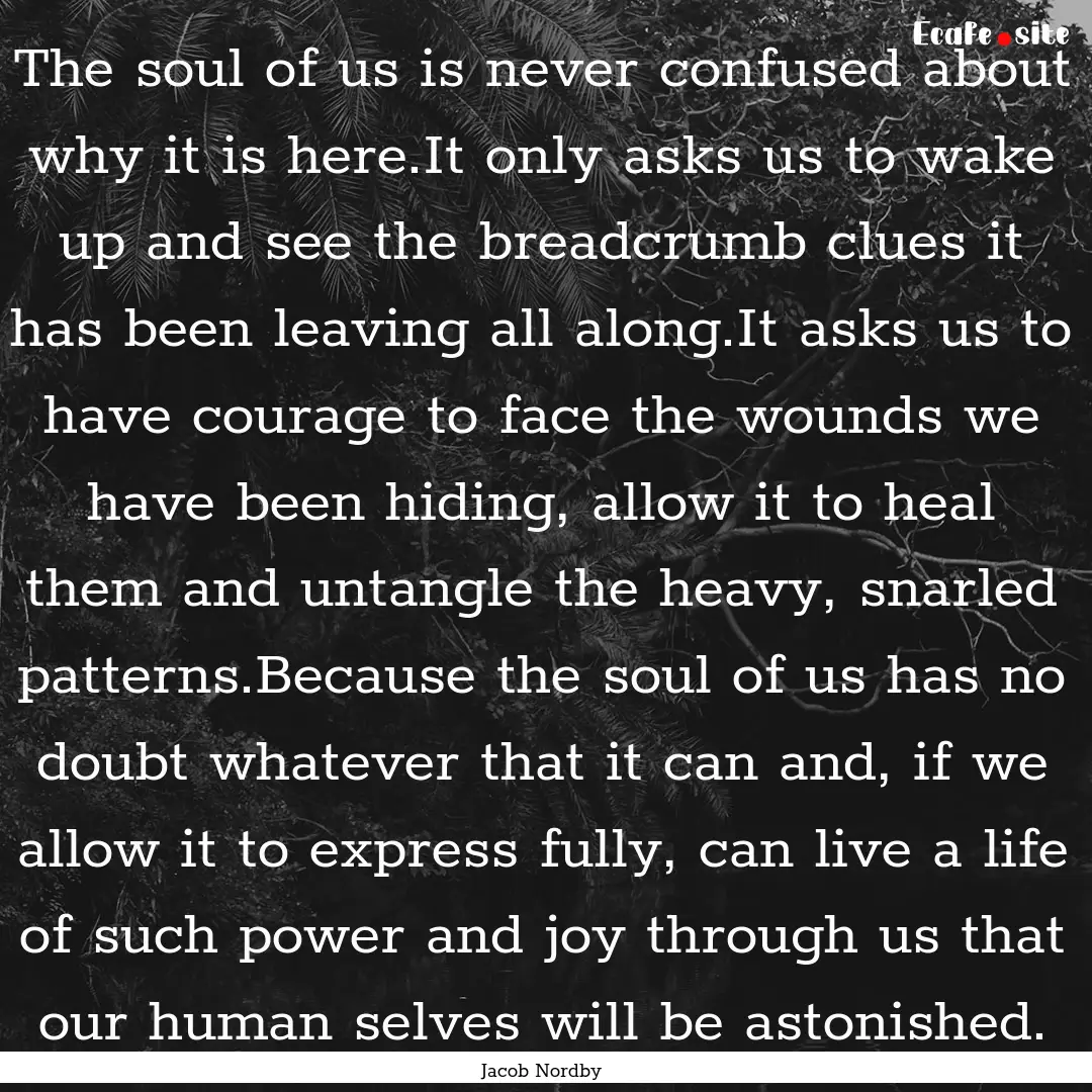 The soul of us is never confused about why.... : Quote by Jacob Nordby