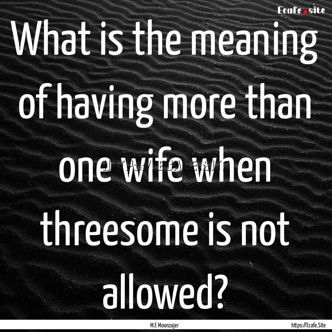 What is the meaning of having more than one.... : Quote by M.F. Moonzajer