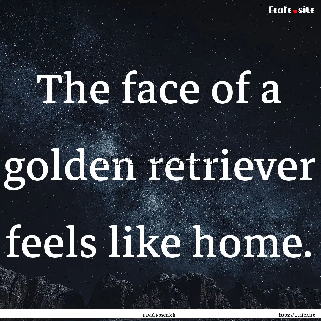 The face of a golden retriever feels like.... : Quote by David Rosenfelt