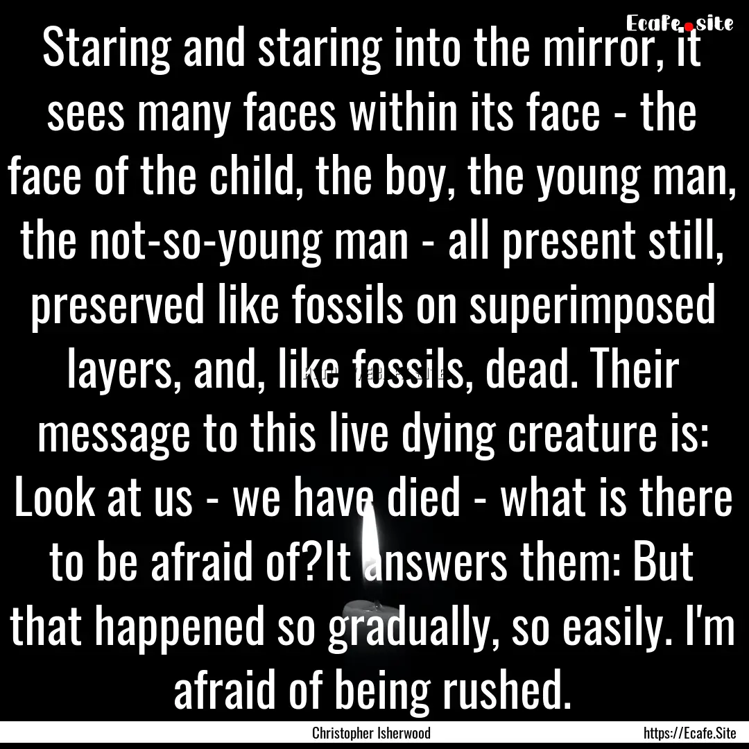 Staring and staring into the mirror, it sees.... : Quote by Christopher Isherwood