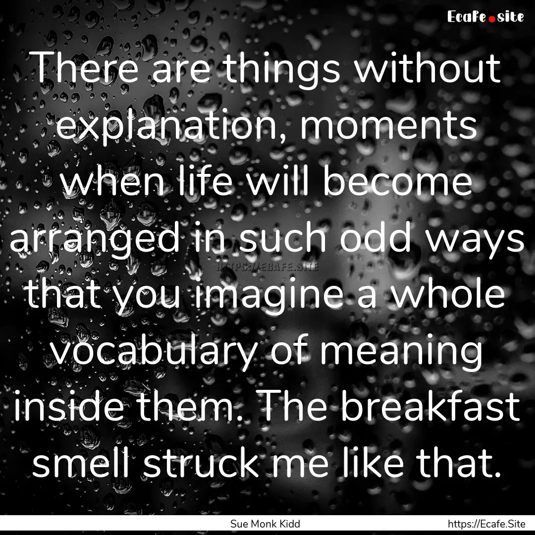 There are things without explanation, moments.... : Quote by Sue Monk Kidd