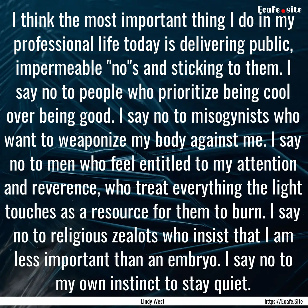 I think the most important thing I do in.... : Quote by Lindy West