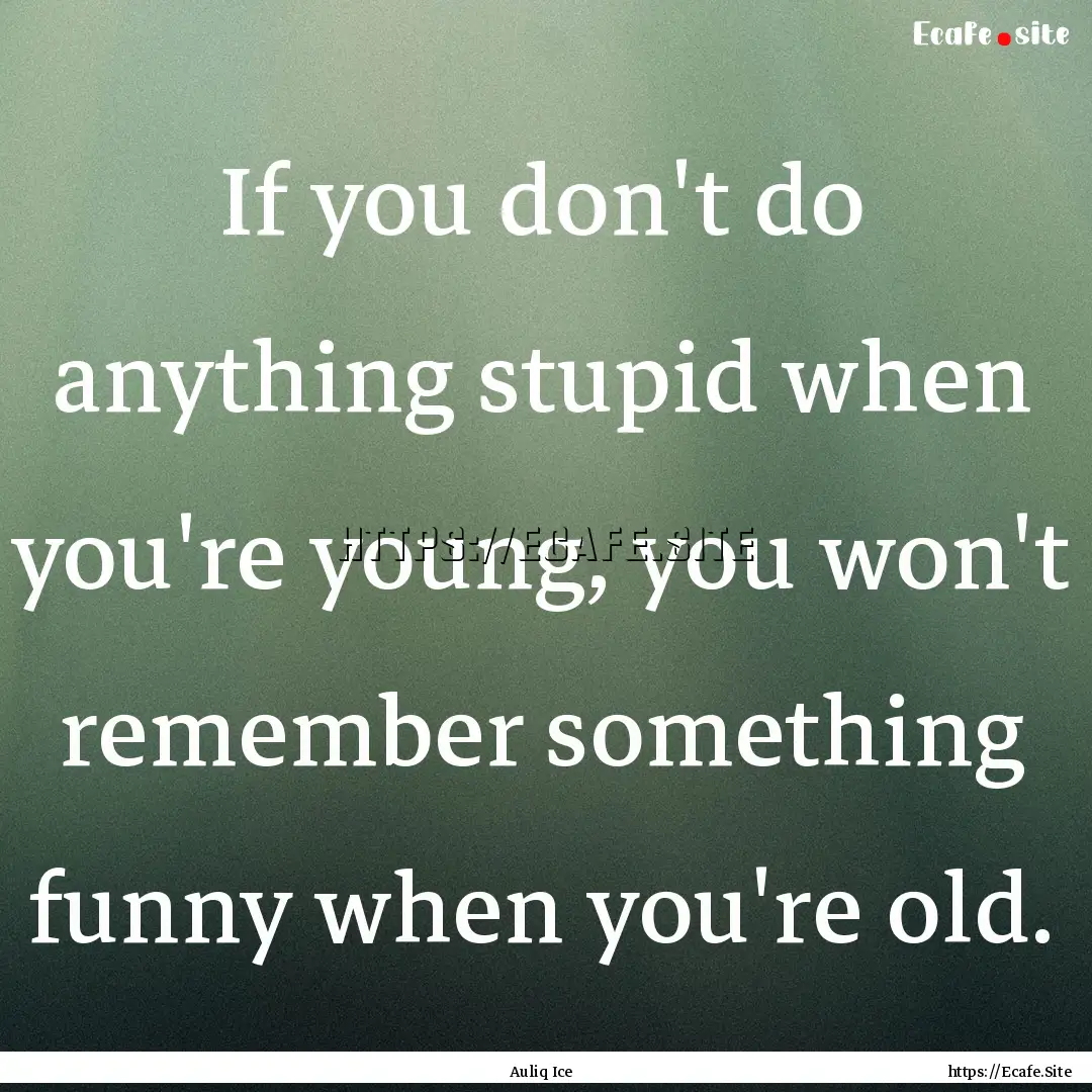 If you don't do anything stupid when you're.... : Quote by Auliq Ice