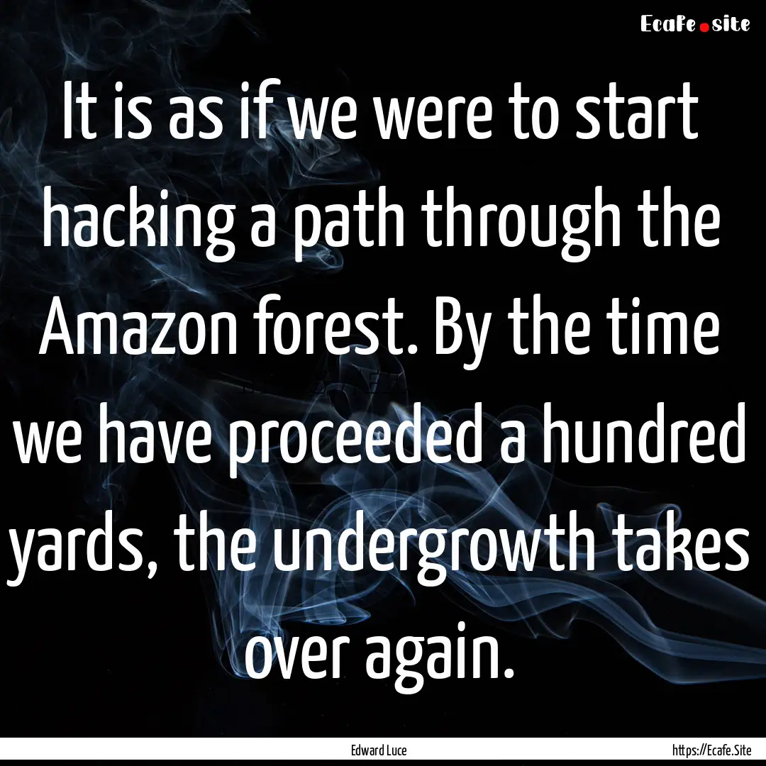 It is as if we were to start hacking a path.... : Quote by Edward Luce