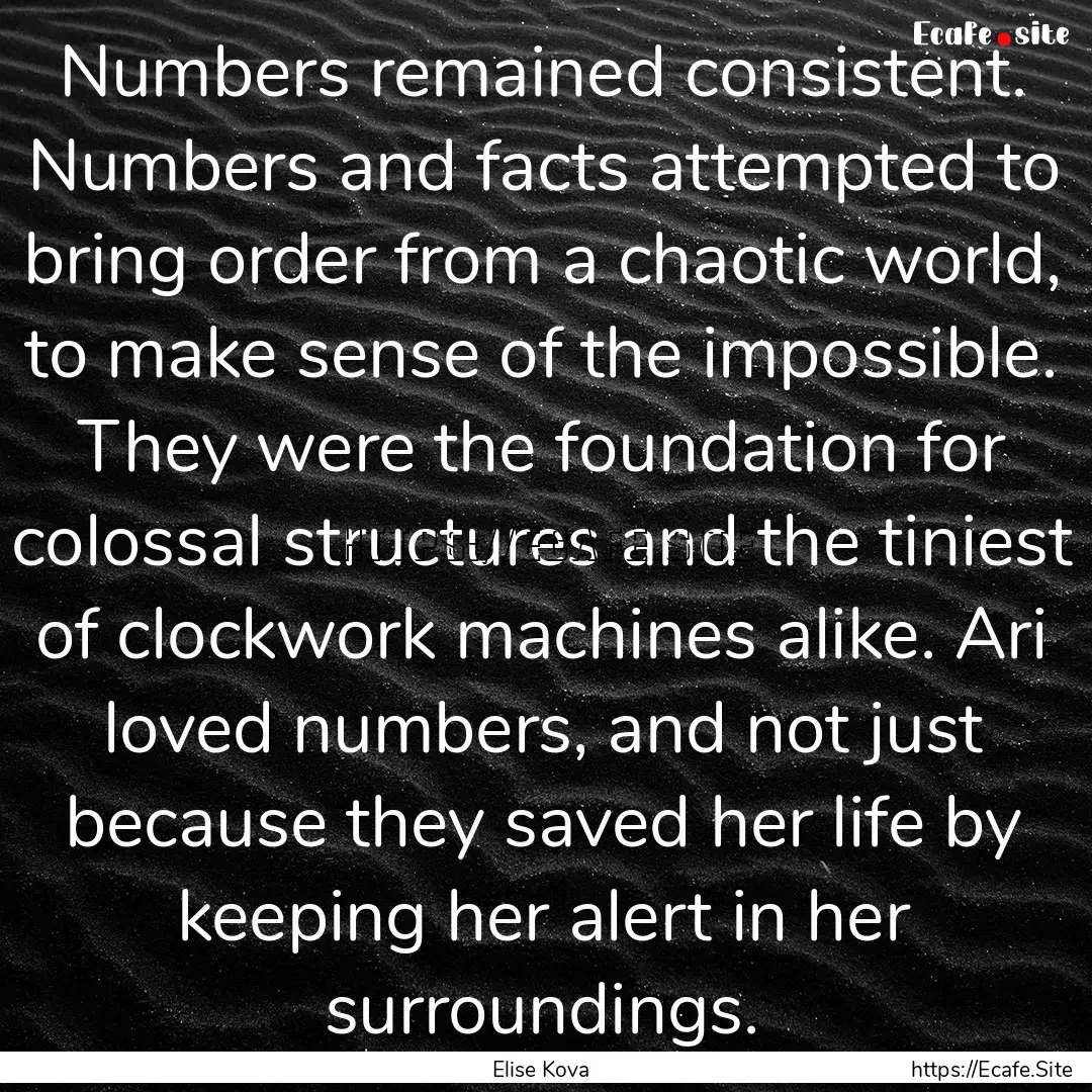 Numbers remained consistent. Numbers and.... : Quote by Elise Kova