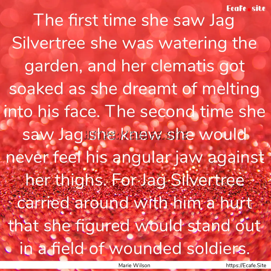 The first time she saw Jag Silvertree she.... : Quote by Marie Wilson