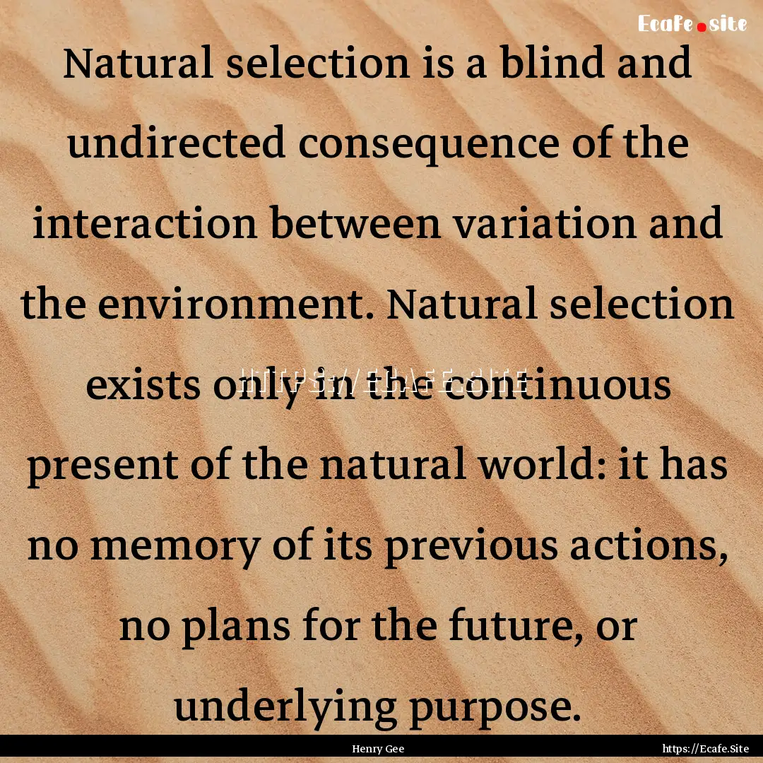 Natural selection is a blind and undirected.... : Quote by Henry Gee