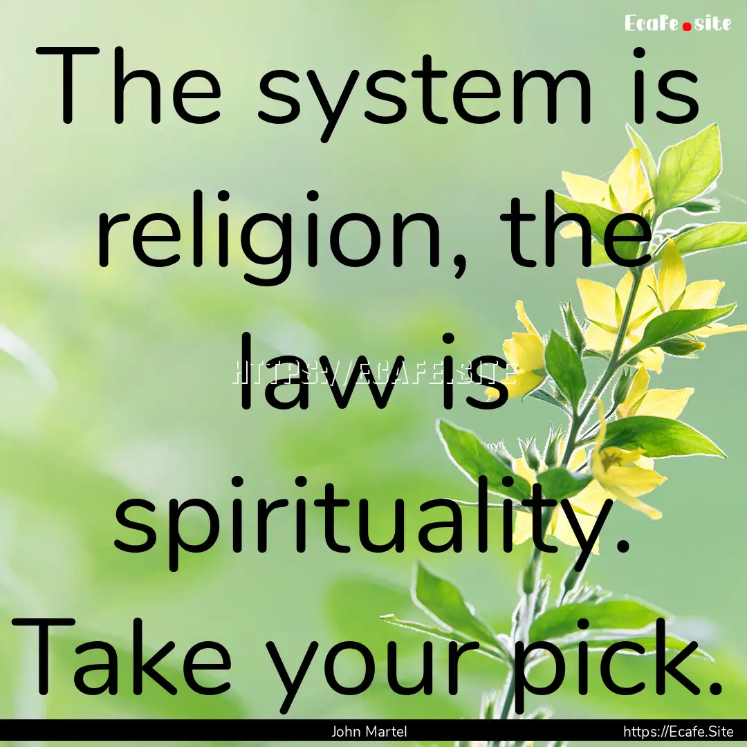 The system is religion, the law is spirituality..... : Quote by John Martel