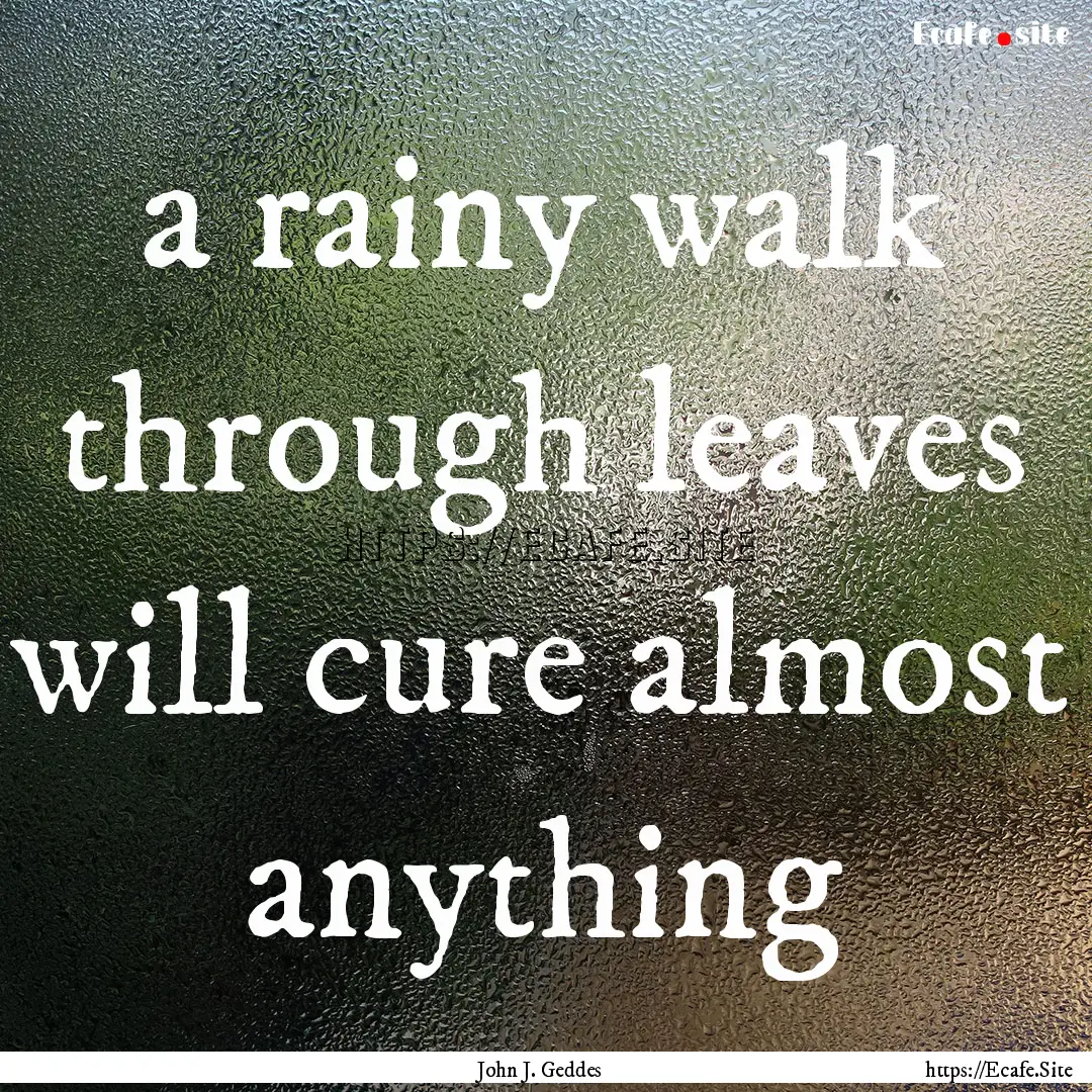 a rainy walk through leaves will cure almost.... : Quote by John J. Geddes