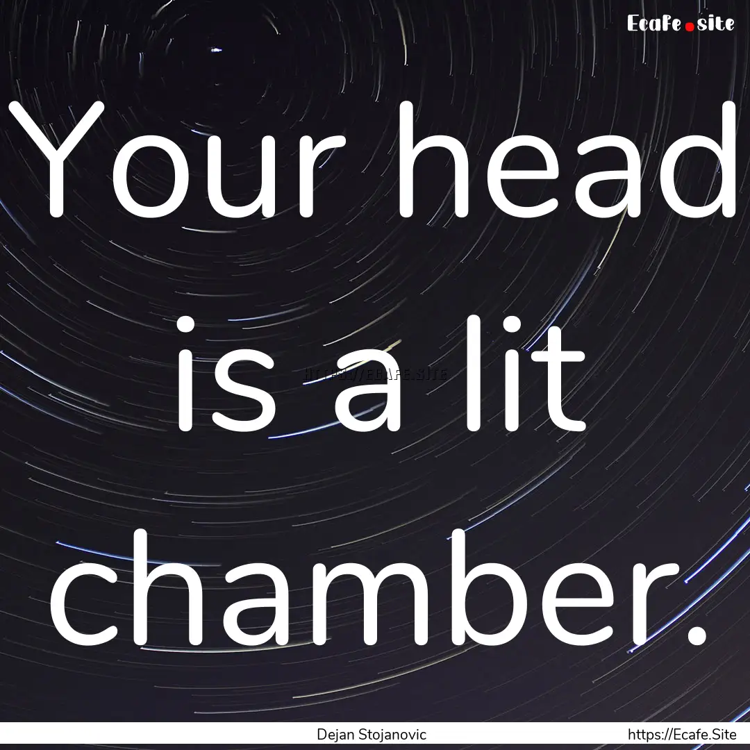 Your head is a lit chamber. : Quote by Dejan Stojanovic