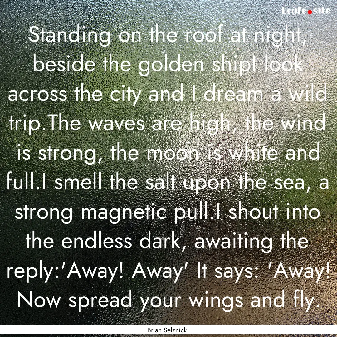 Standing on the roof at night, beside the.... : Quote by Brian Selznick