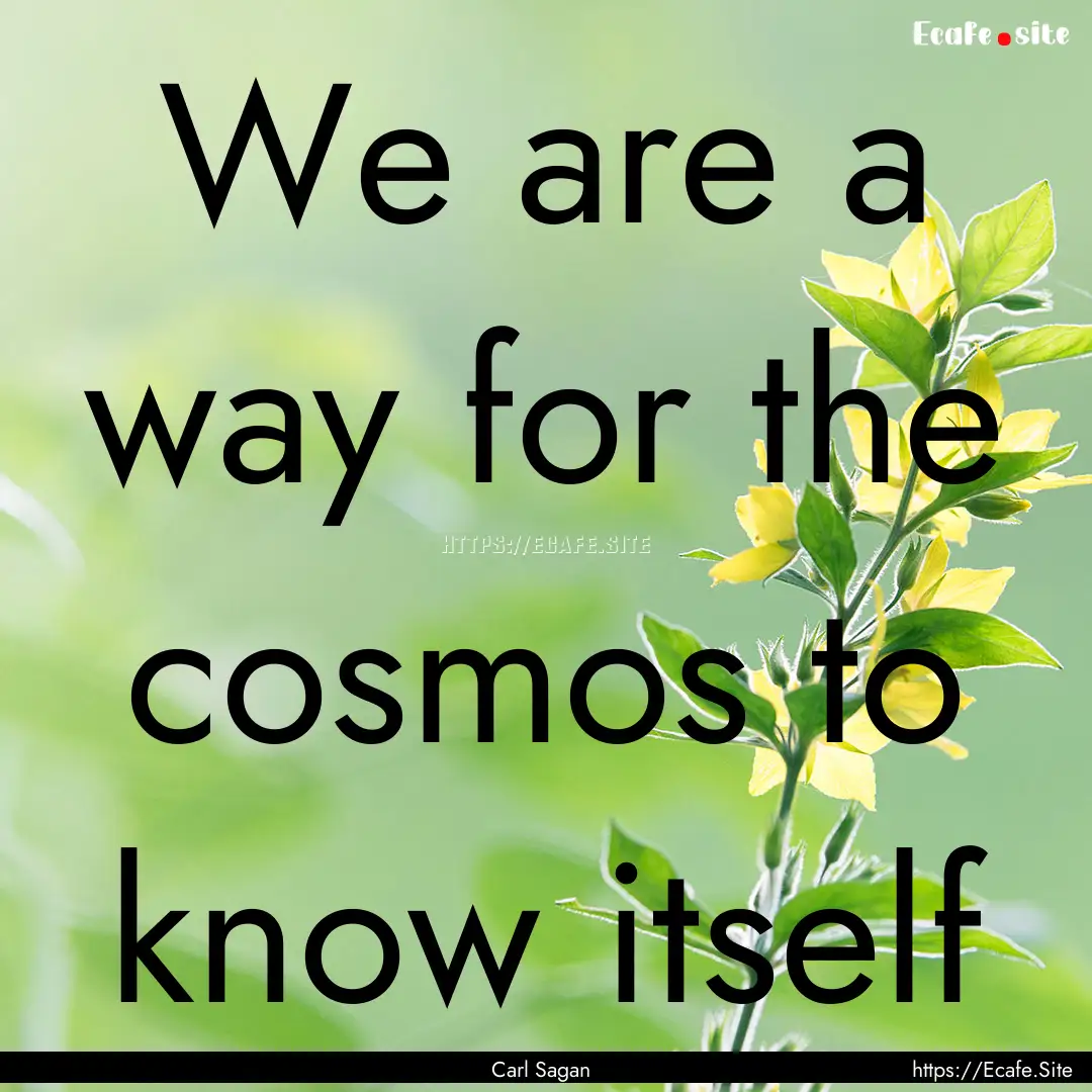 We are a way for the cosmos to know itself.... : Quote by Carl Sagan