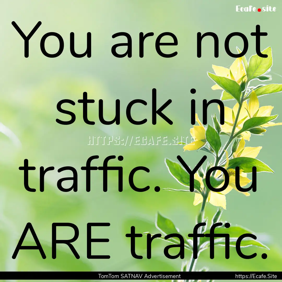 You are not stuck in traffic. You ARE traffic..... : Quote by TomTom SATNAV Advertisement