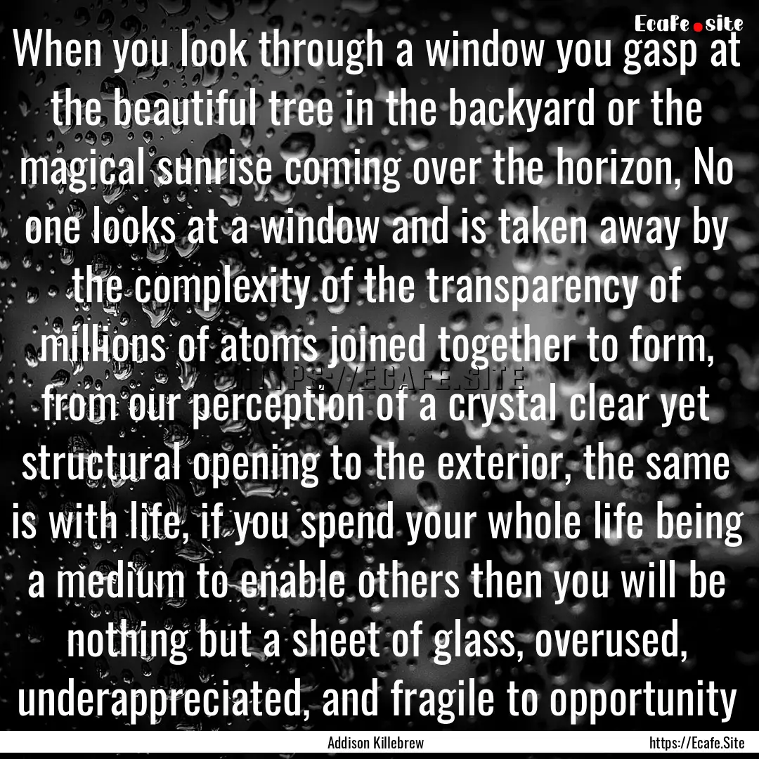 When you look through a window you gasp at.... : Quote by Addison Killebrew