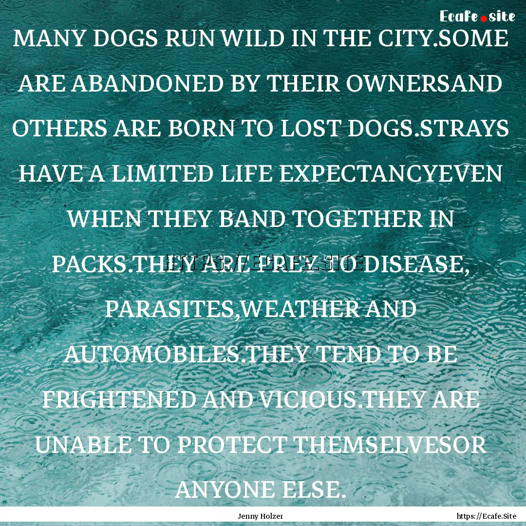 MANY DOGS RUN WILD IN THE CITY.SOME ARE ABANDONED.... : Quote by Jenny Holzer