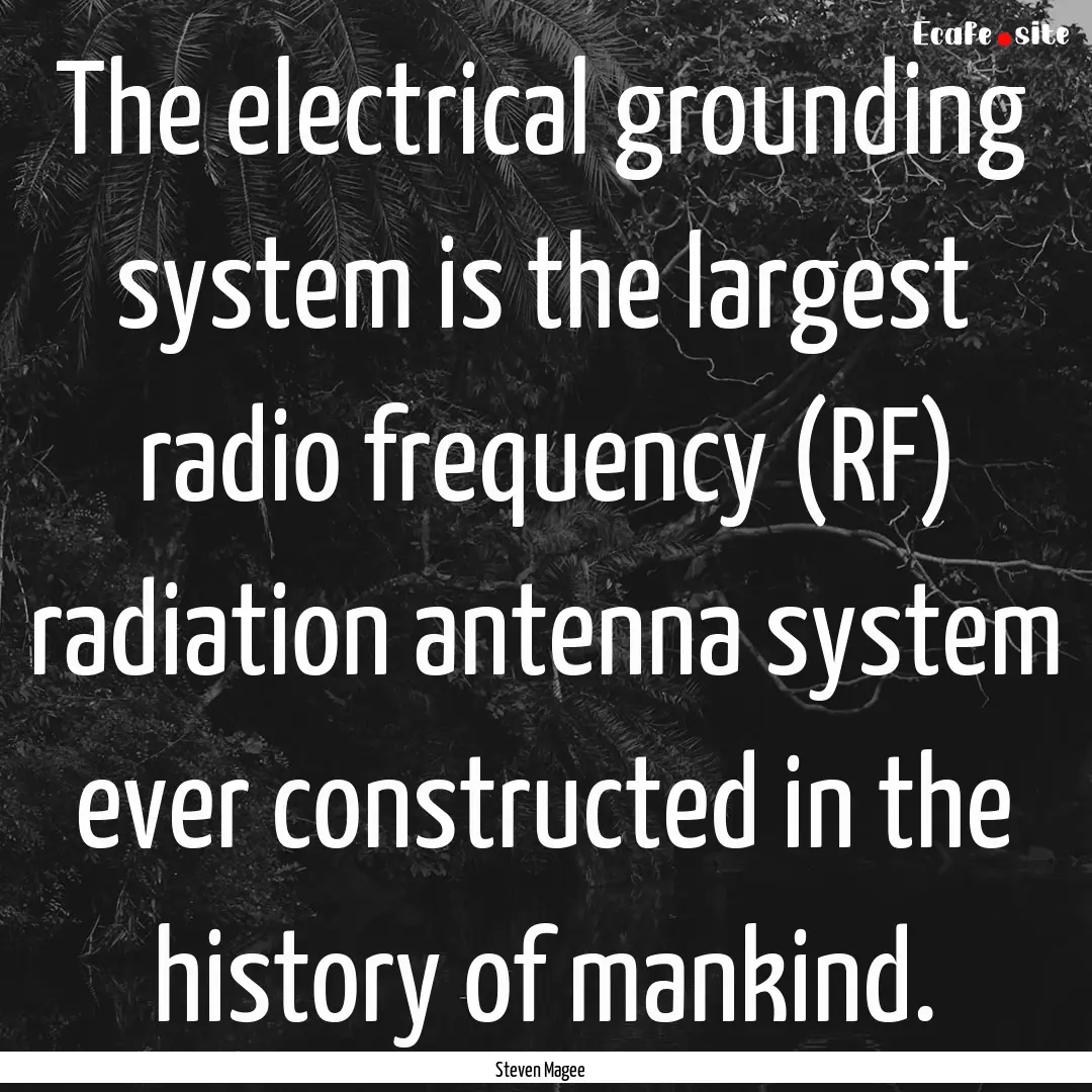 The electrical grounding system is the largest.... : Quote by Steven Magee