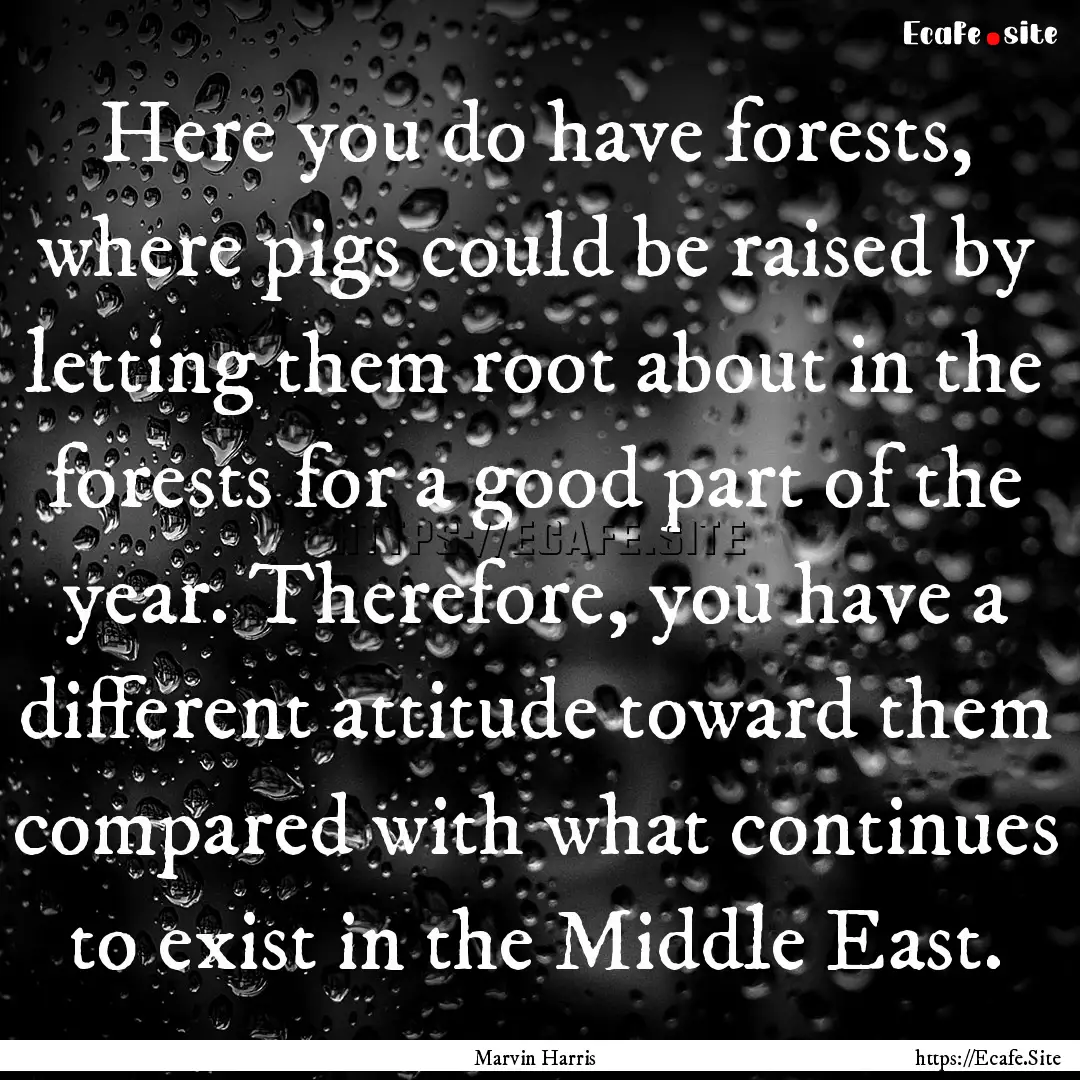 Here you do have forests, where pigs could.... : Quote by Marvin Harris