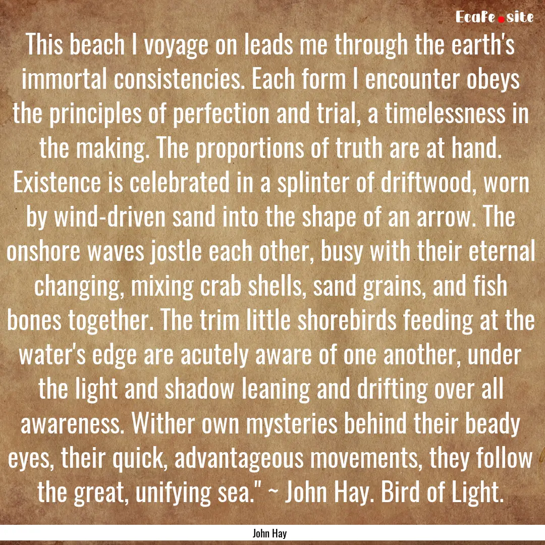 This beach I voyage on leads me through the.... : Quote by John Hay