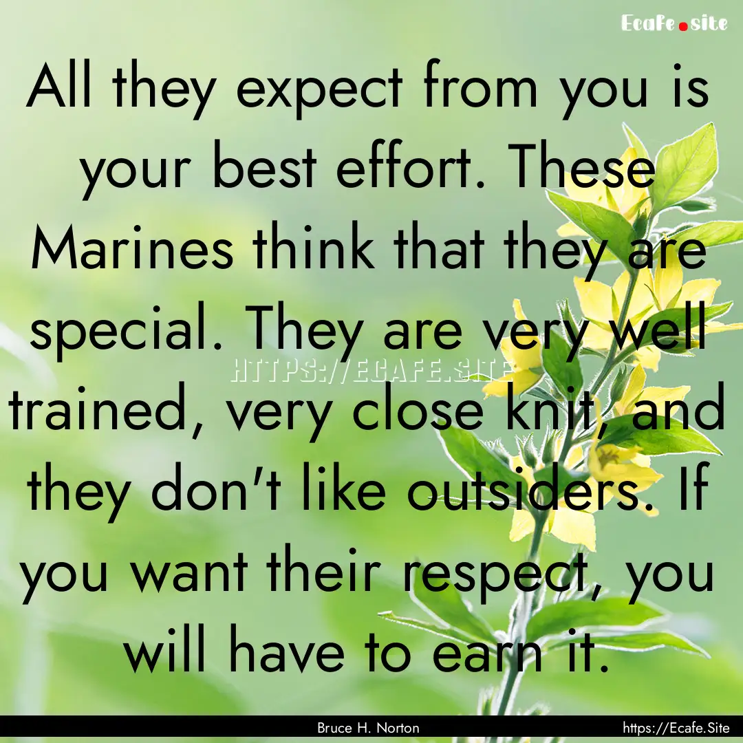 All they expect from you is your best effort..... : Quote by Bruce H. Norton