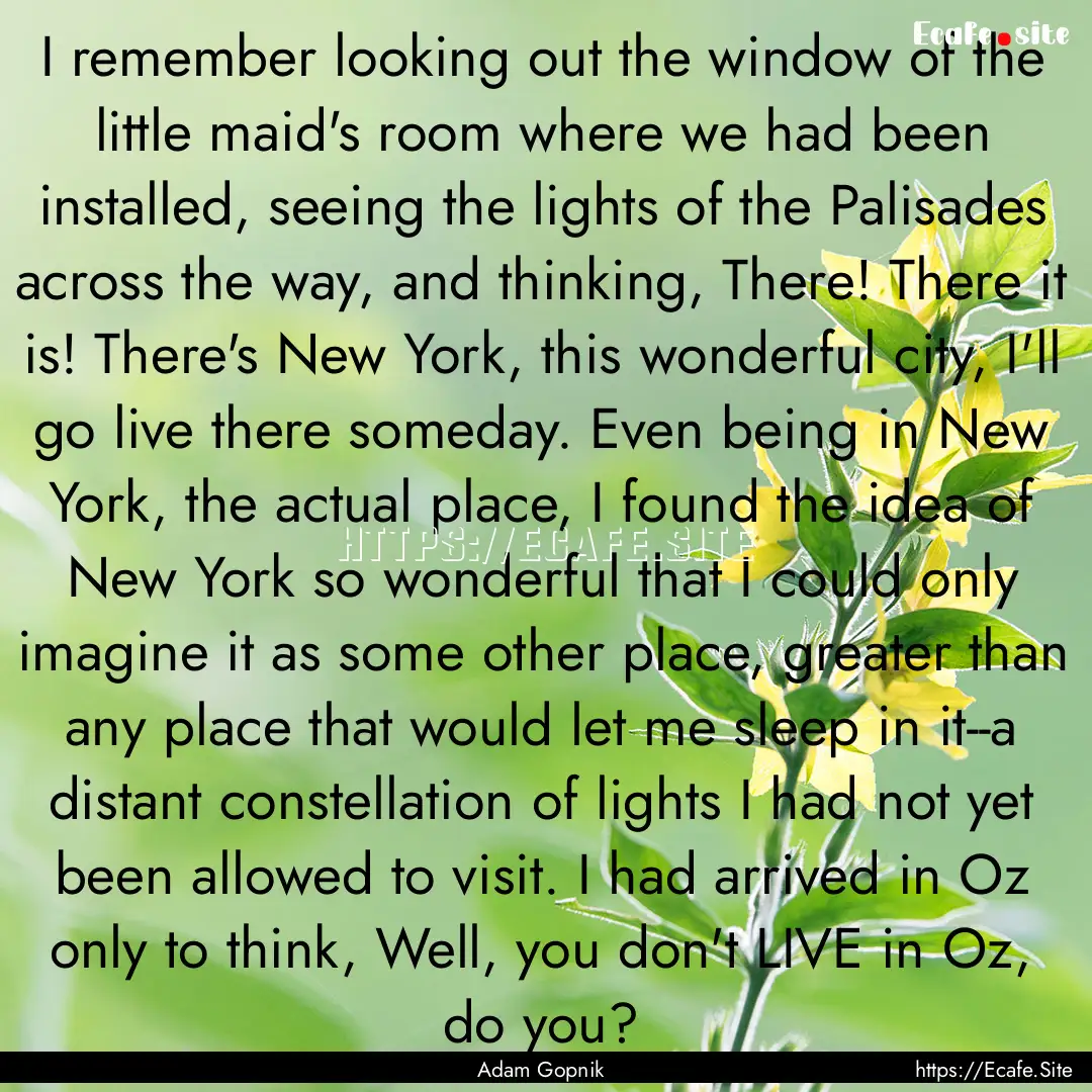 I remember looking out the window of the.... : Quote by Adam Gopnik