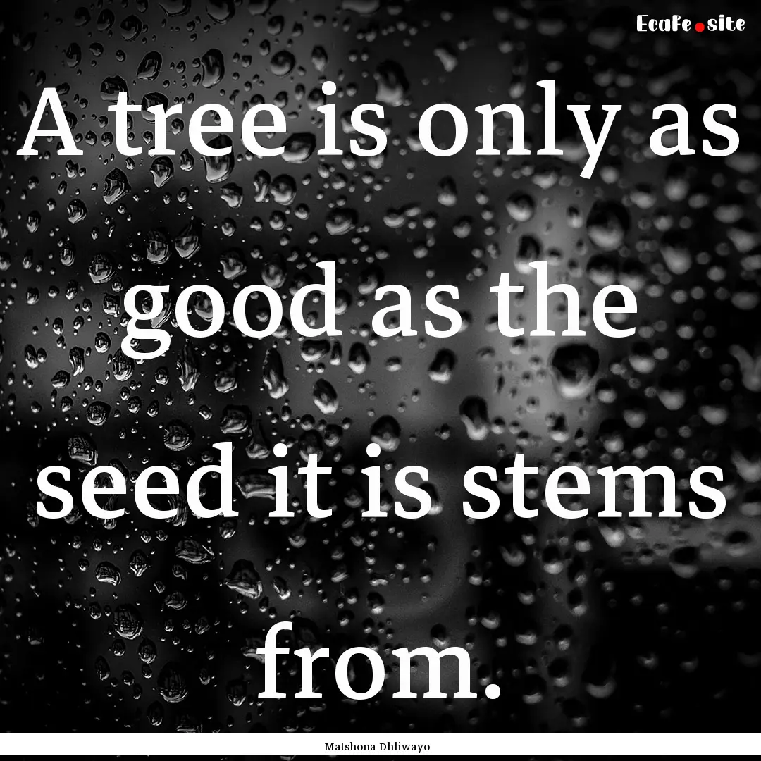 A tree is only as good as the seed it is.... : Quote by Matshona Dhliwayo