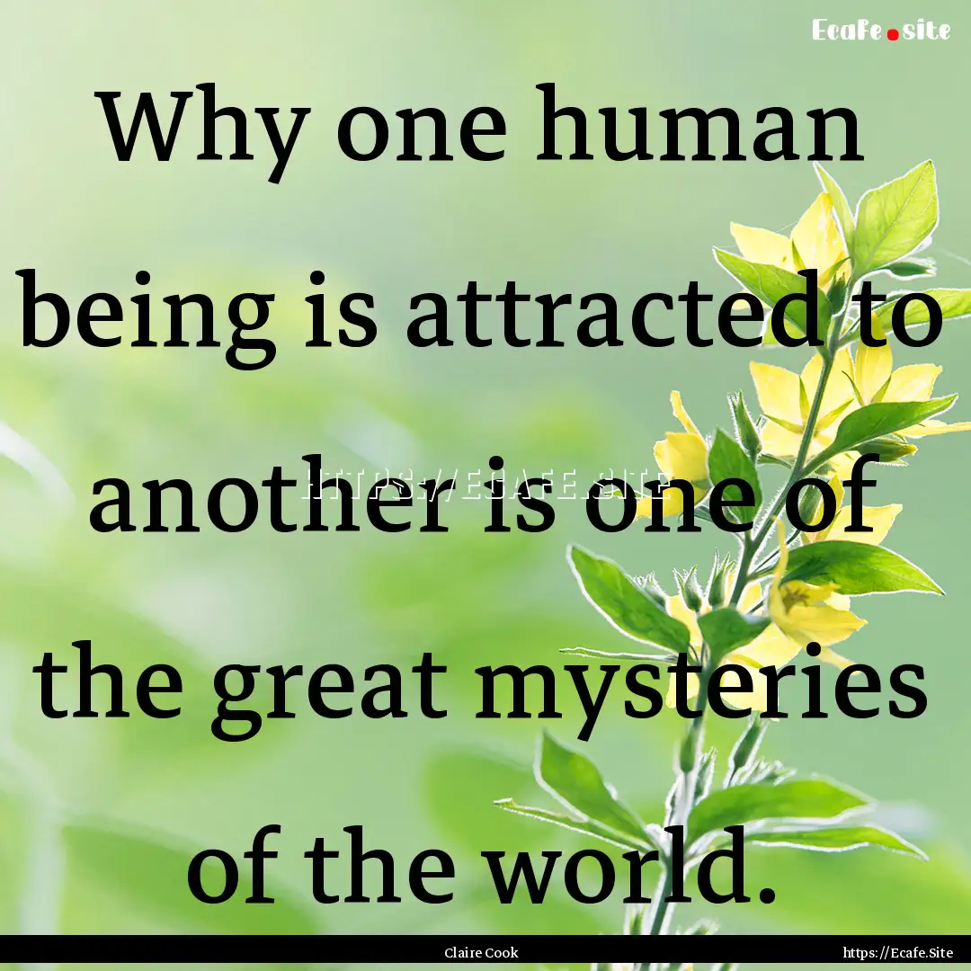 Why one human being is attracted to another.... : Quote by Claire Cook