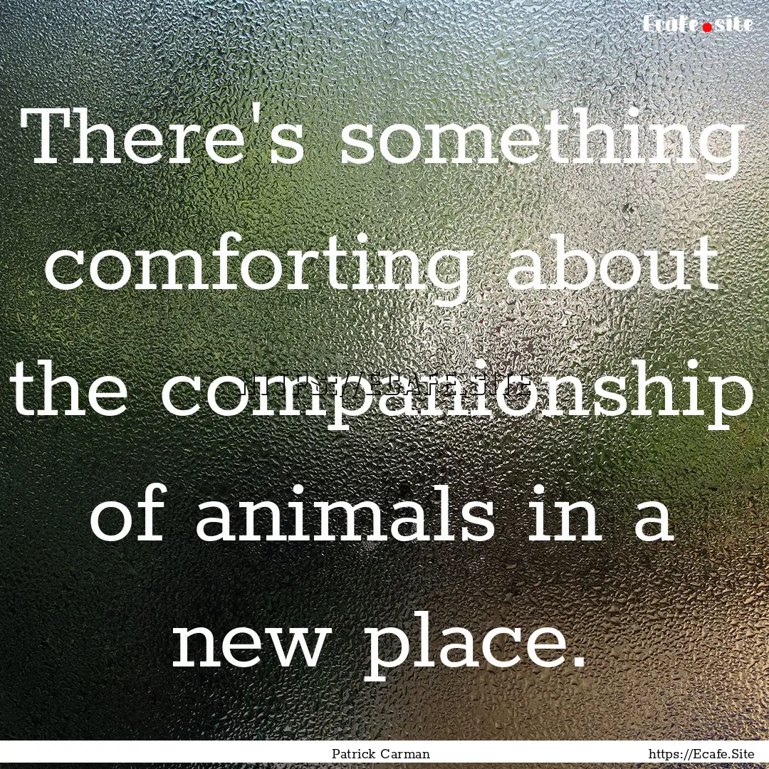 There's something comforting about the companionship.... : Quote by Patrick Carman