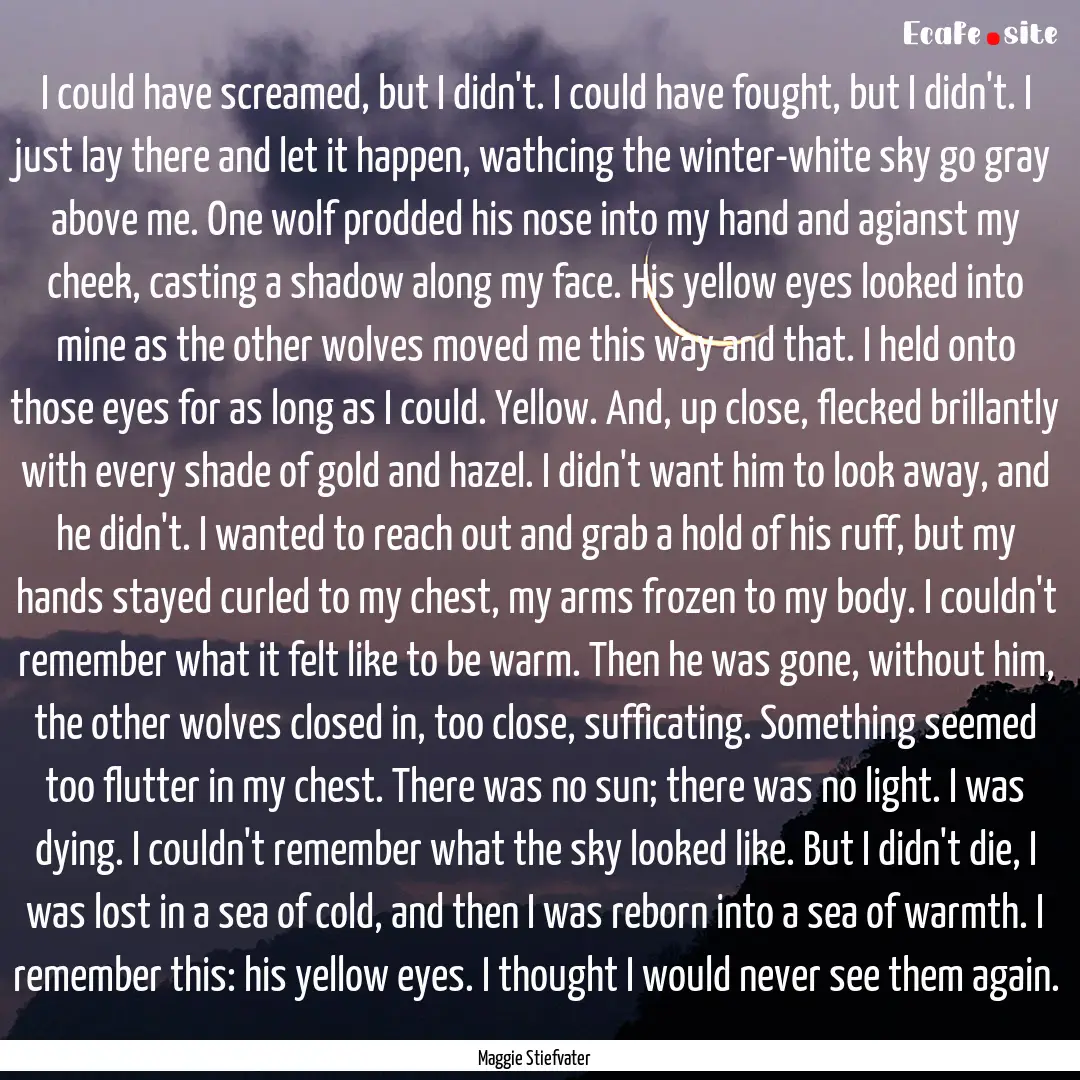 I could have screamed, but I didn't. I could.... : Quote by Maggie Stiefvater