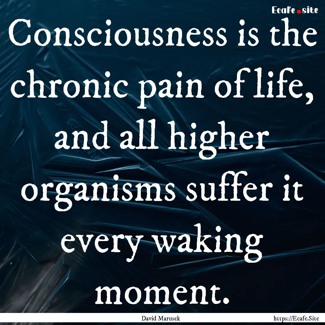 Consciousness is the chronic pain of life,.... : Quote by David Marusek