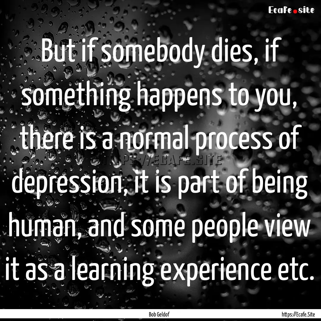 But if somebody dies, if something happens.... : Quote by Bob Geldof