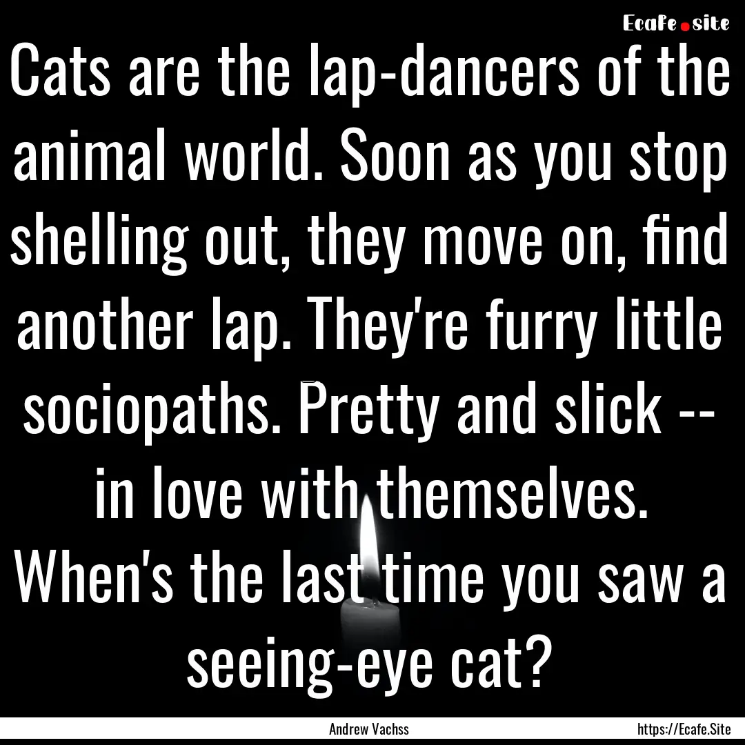 Cats are the lap-dancers of the animal world..... : Quote by Andrew Vachss