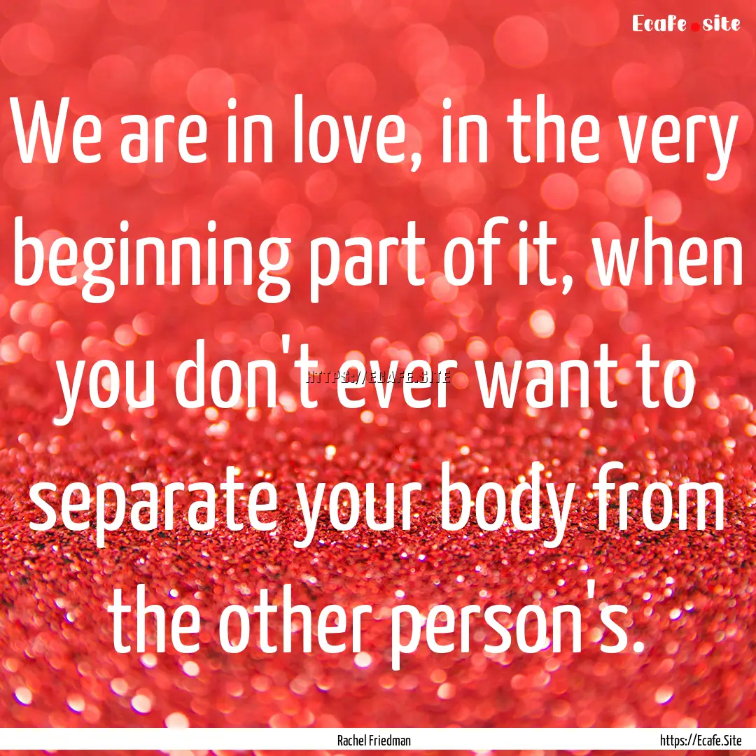 We are in love, in the very beginning part.... : Quote by Rachel Friedman