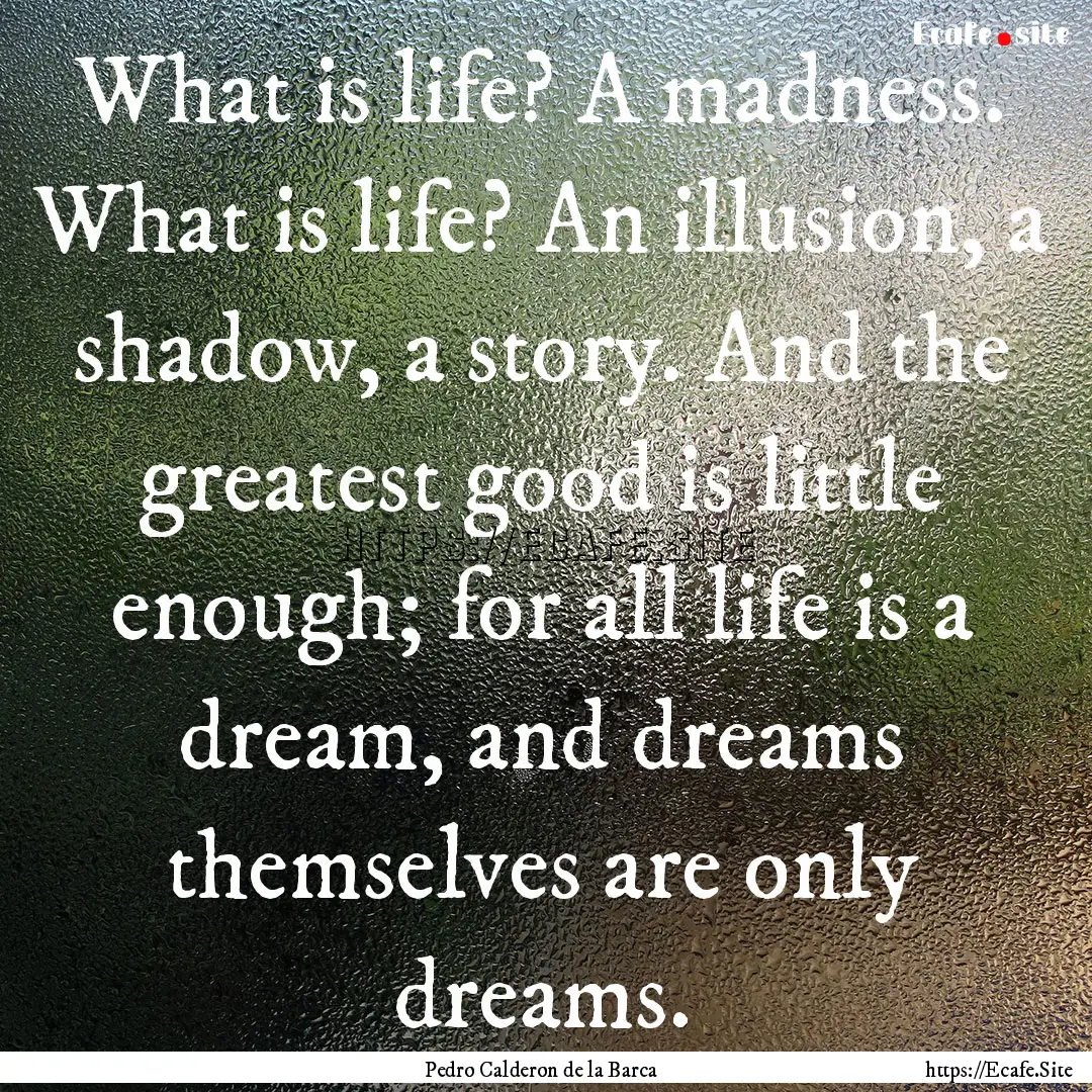 What is life? A madness. What is life? An.... : Quote by Pedro Calderon de la Barca