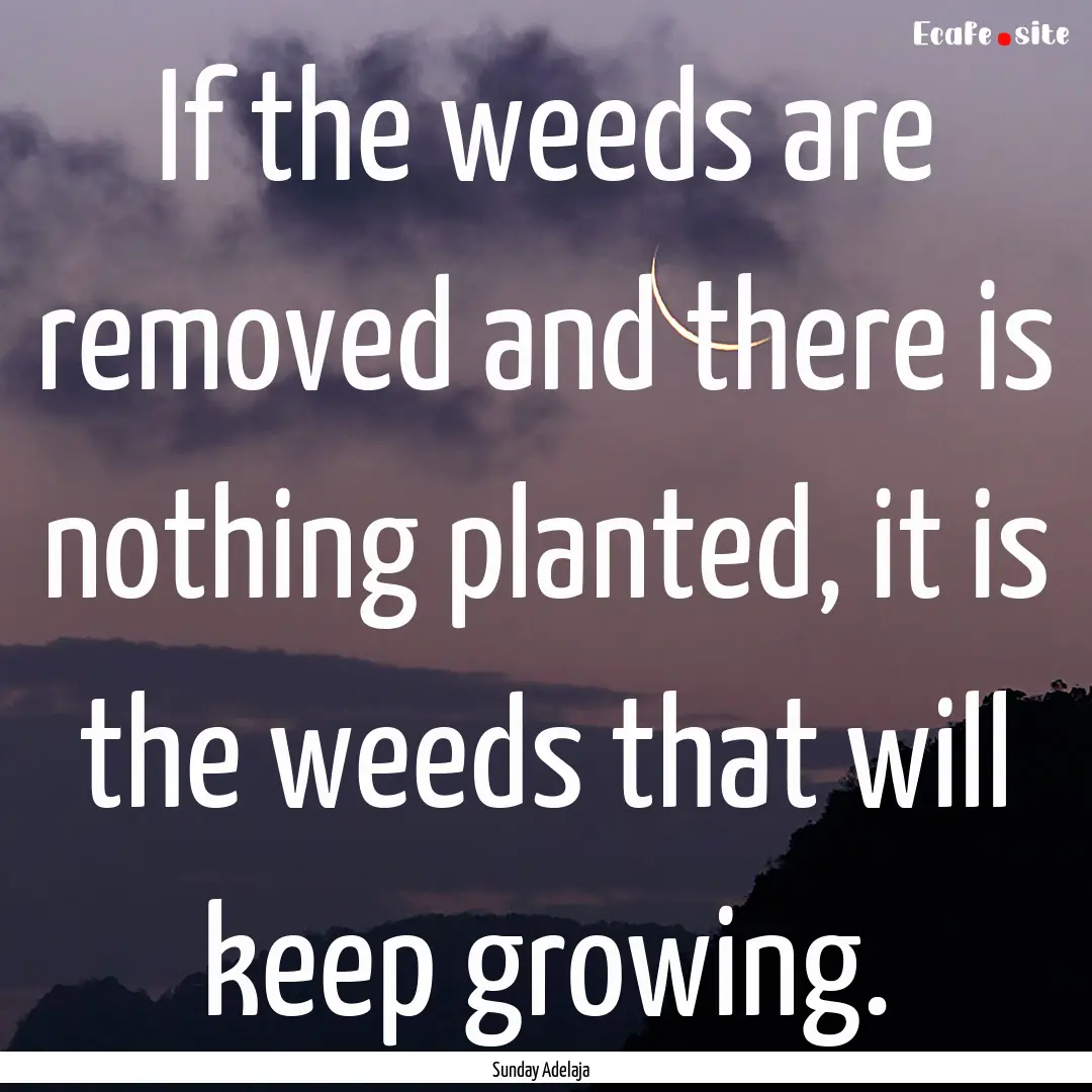 If the weeds are removed and there is nothing.... : Quote by Sunday Adelaja