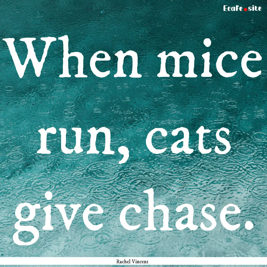 When mice run, cats give chase. : Quote by Rachel Vincent