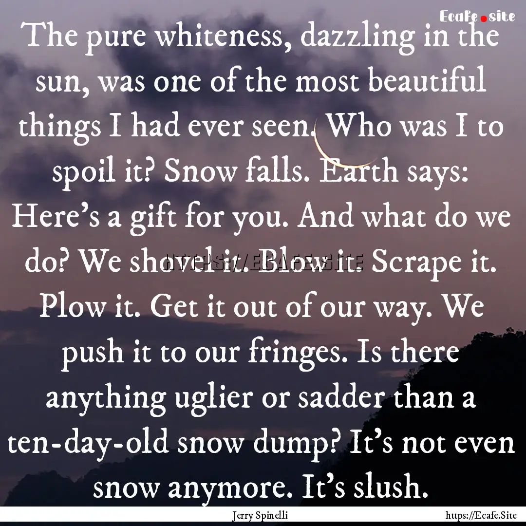 The pure whiteness, dazzling in the sun,.... : Quote by Jerry Spinelli