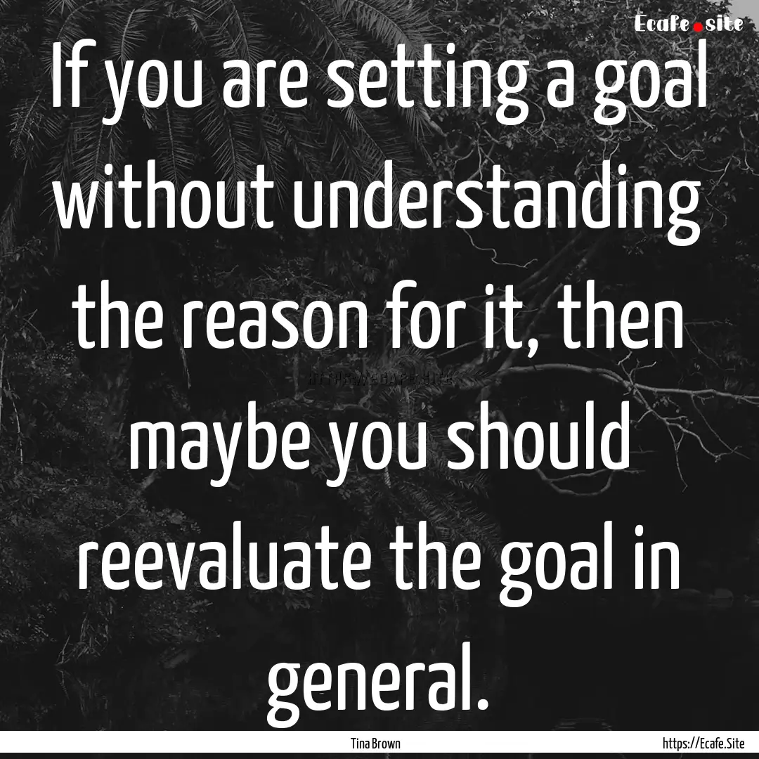 If you are setting a goal without understanding.... : Quote by Tina Brown