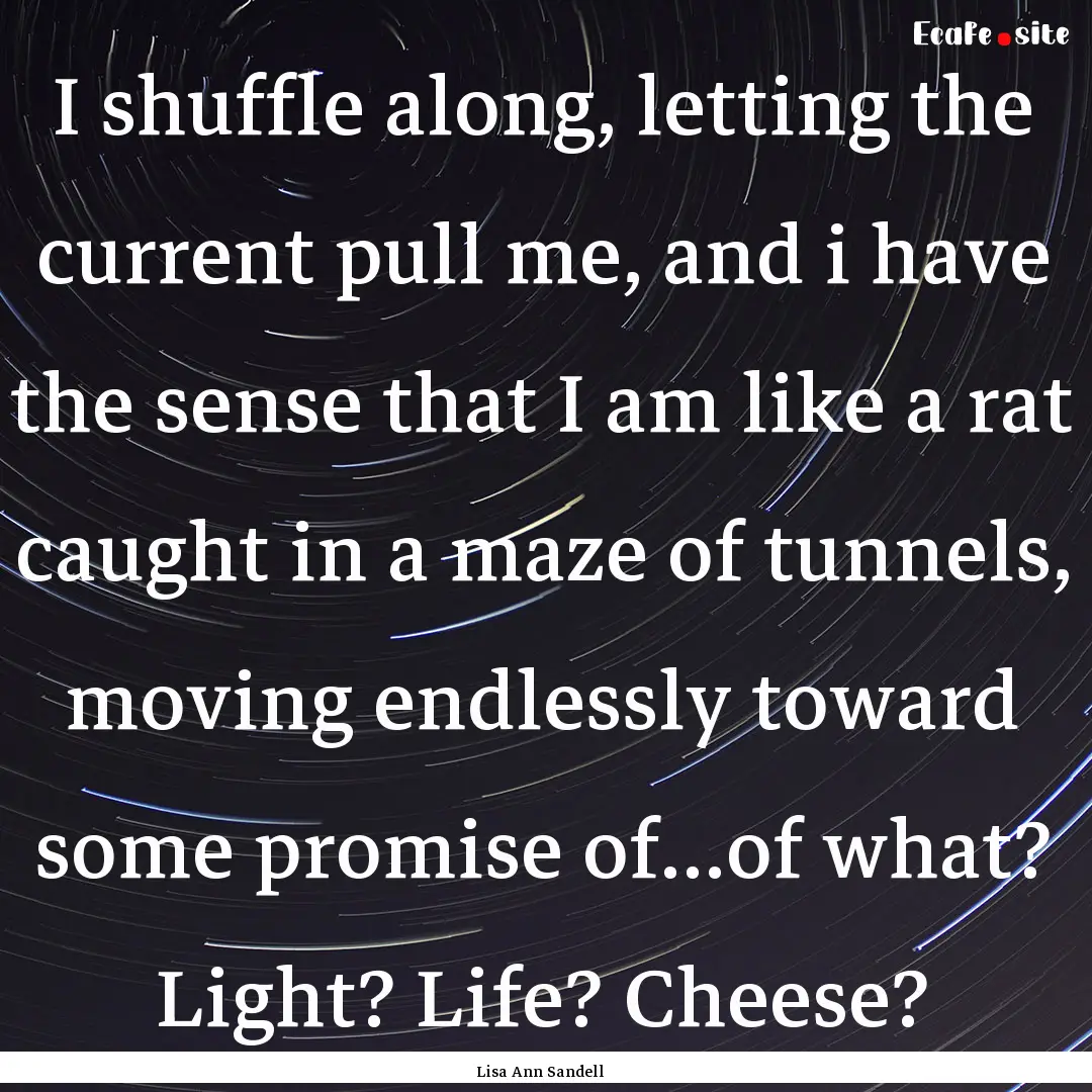 I shuffle along, letting the current pull.... : Quote by Lisa Ann Sandell