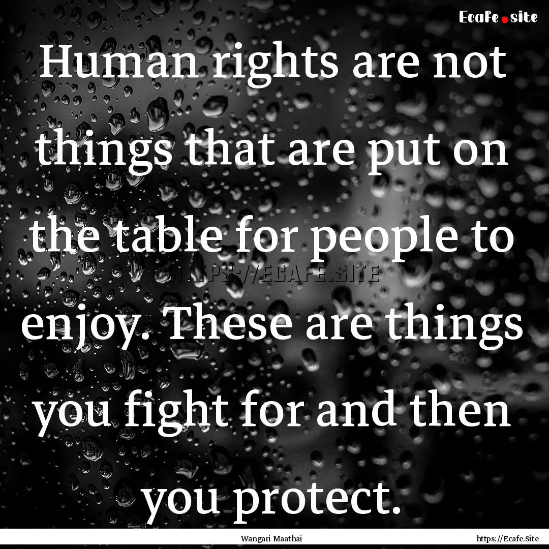 Human rights are not things that are put.... : Quote by Wangari Maathai