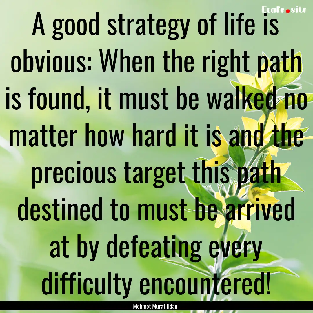 A good strategy of life is obvious: When.... : Quote by Mehmet Murat ildan