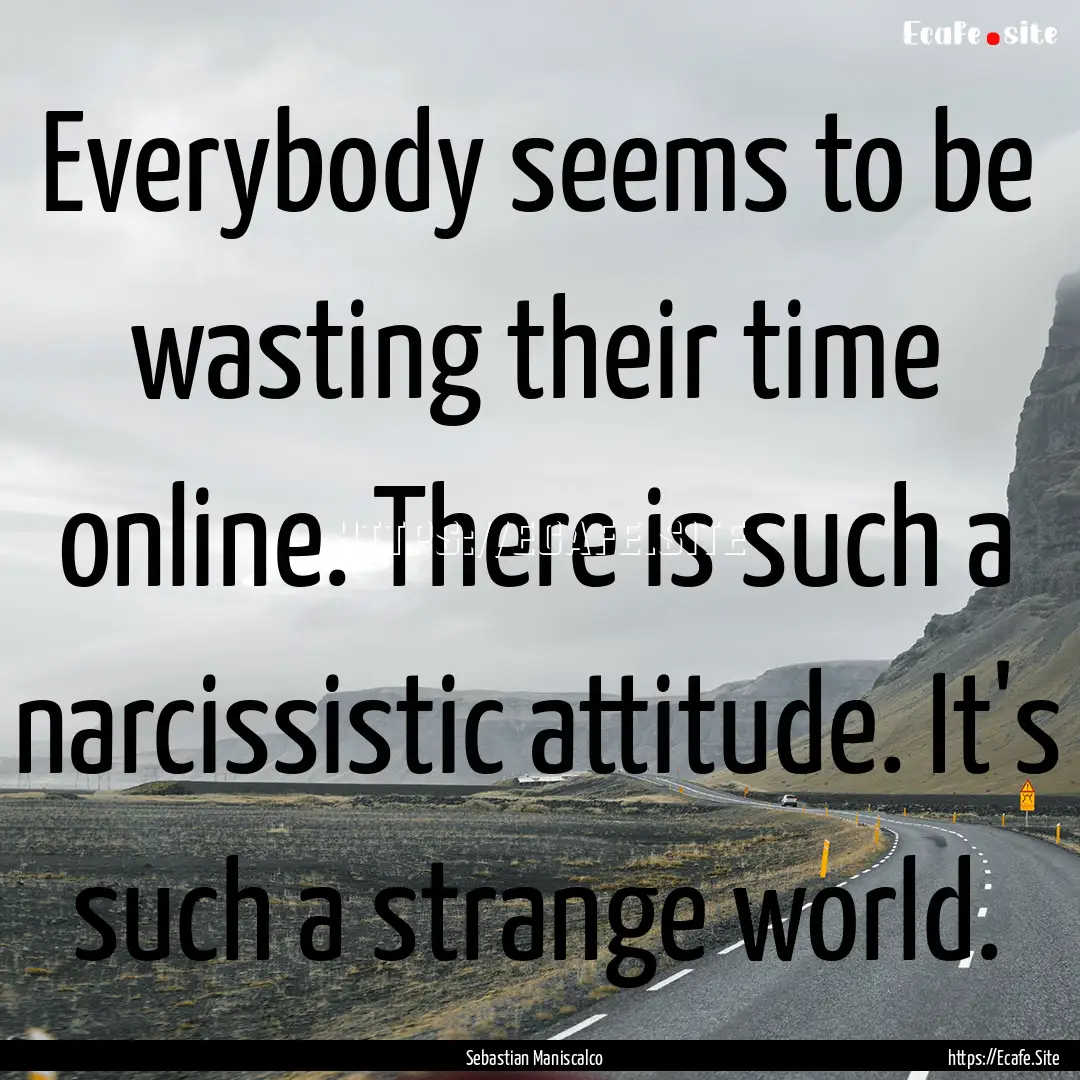 Everybody seems to be wasting their time.... : Quote by Sebastian Maniscalco