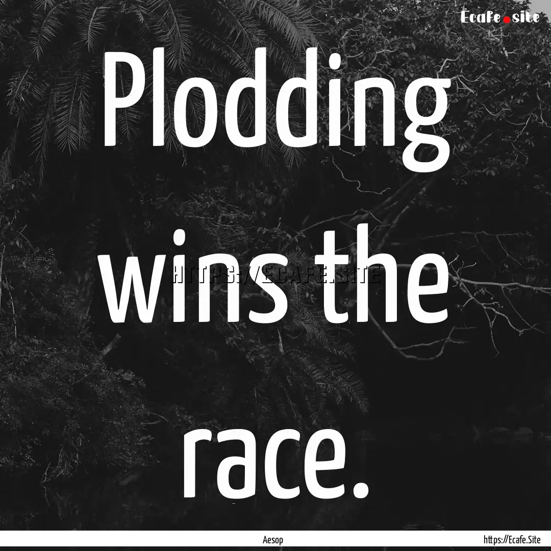 Plodding wins the race. : Quote by Aesop