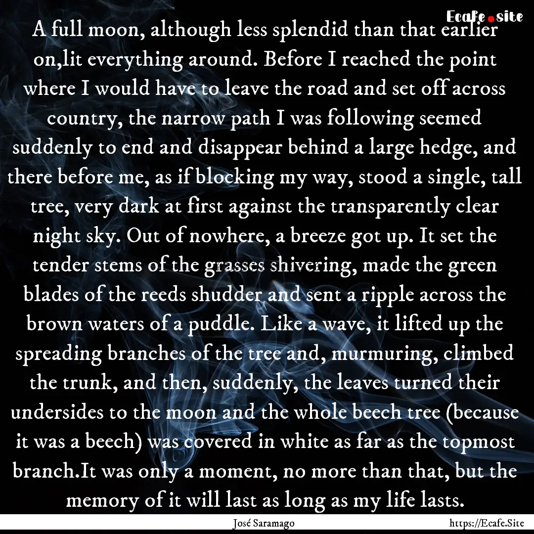 A full moon, although less splendid than.... : Quote by José Saramago