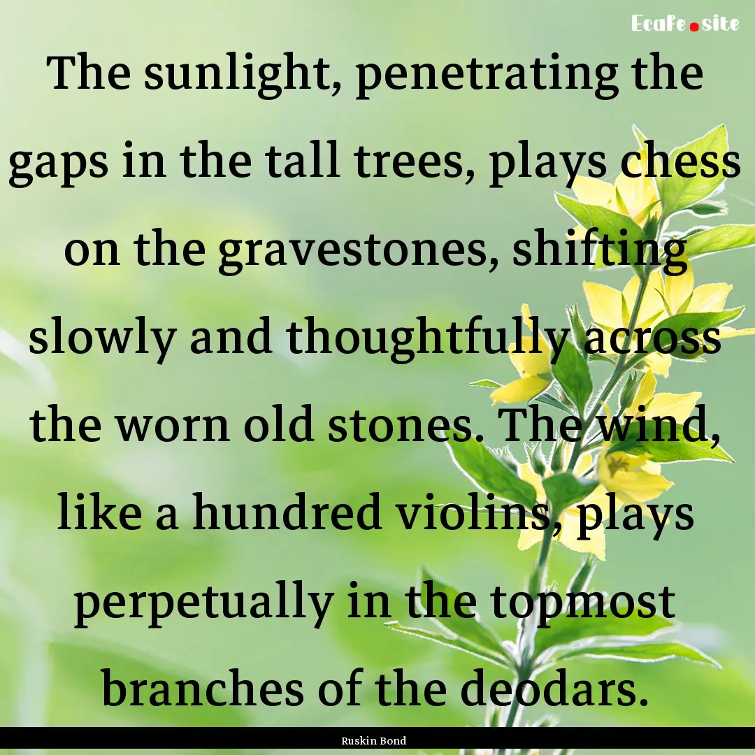 The sunlight, penetrating the gaps in the.... : Quote by Ruskin Bond