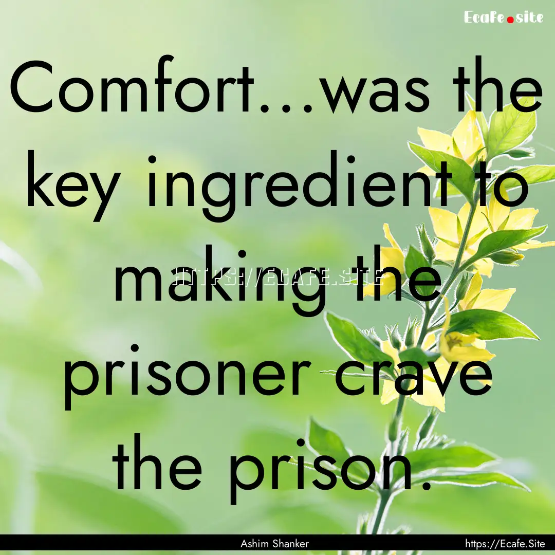 Comfort...was the key ingredient to making.... : Quote by Ashim Shanker