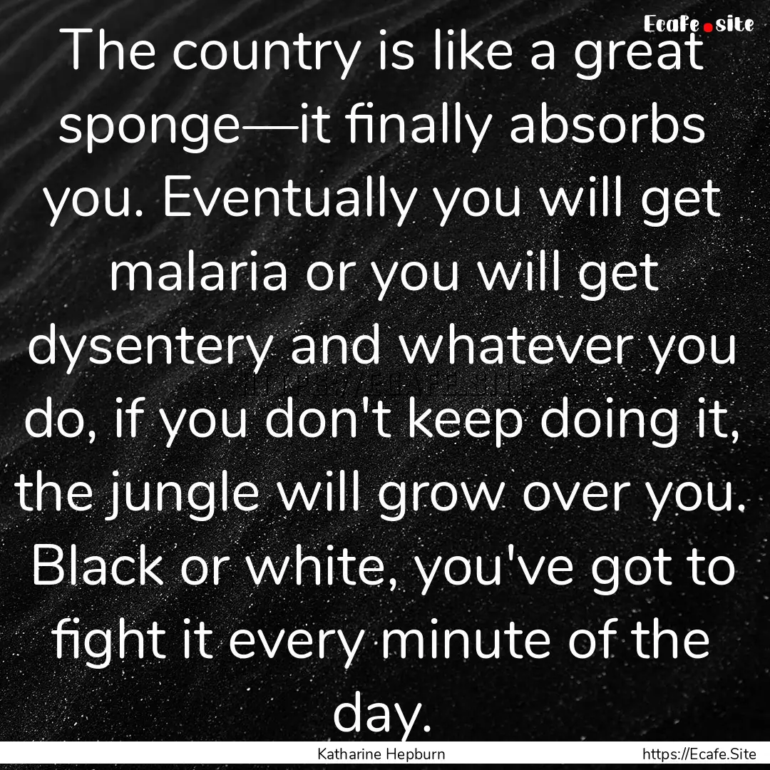 The country is like a great sponge—it finally.... : Quote by Katharine Hepburn