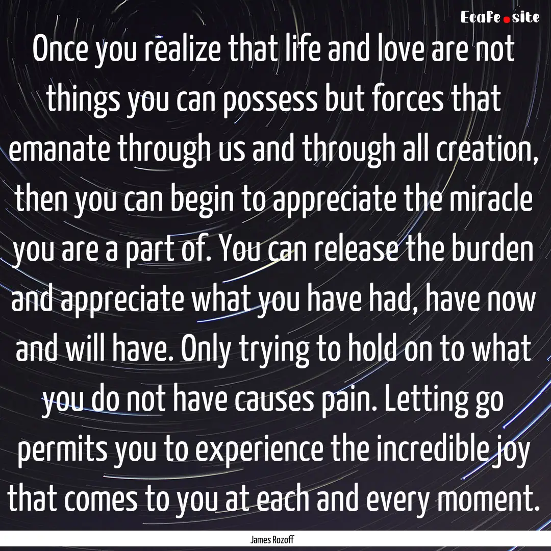 Once you realize that life and love are not.... : Quote by James Rozoff