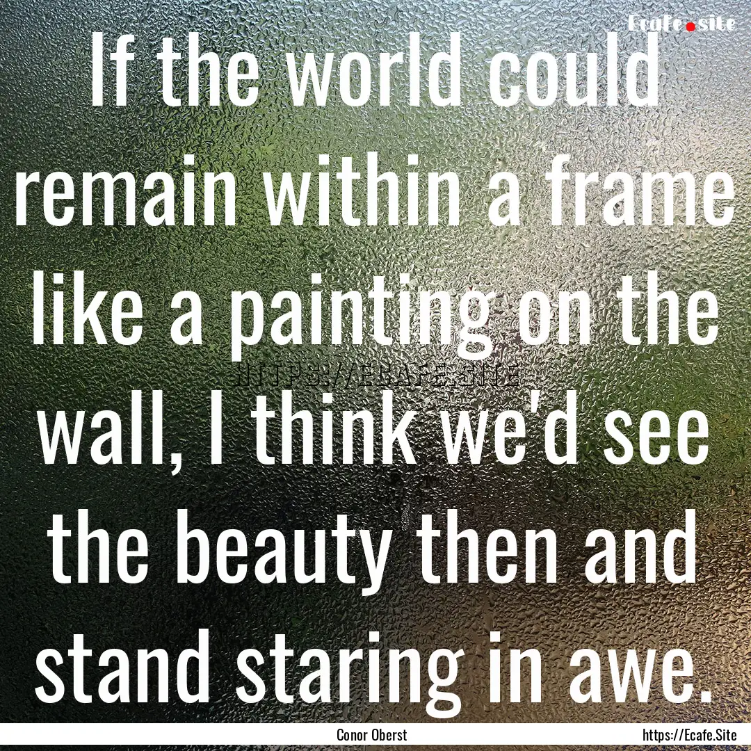 If the world could remain within a frame.... : Quote by Conor Oberst