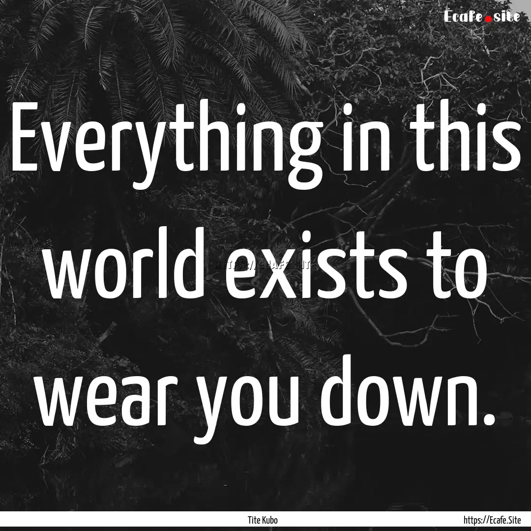 Everything in this world exists to wear you.... : Quote by Tite Kubo