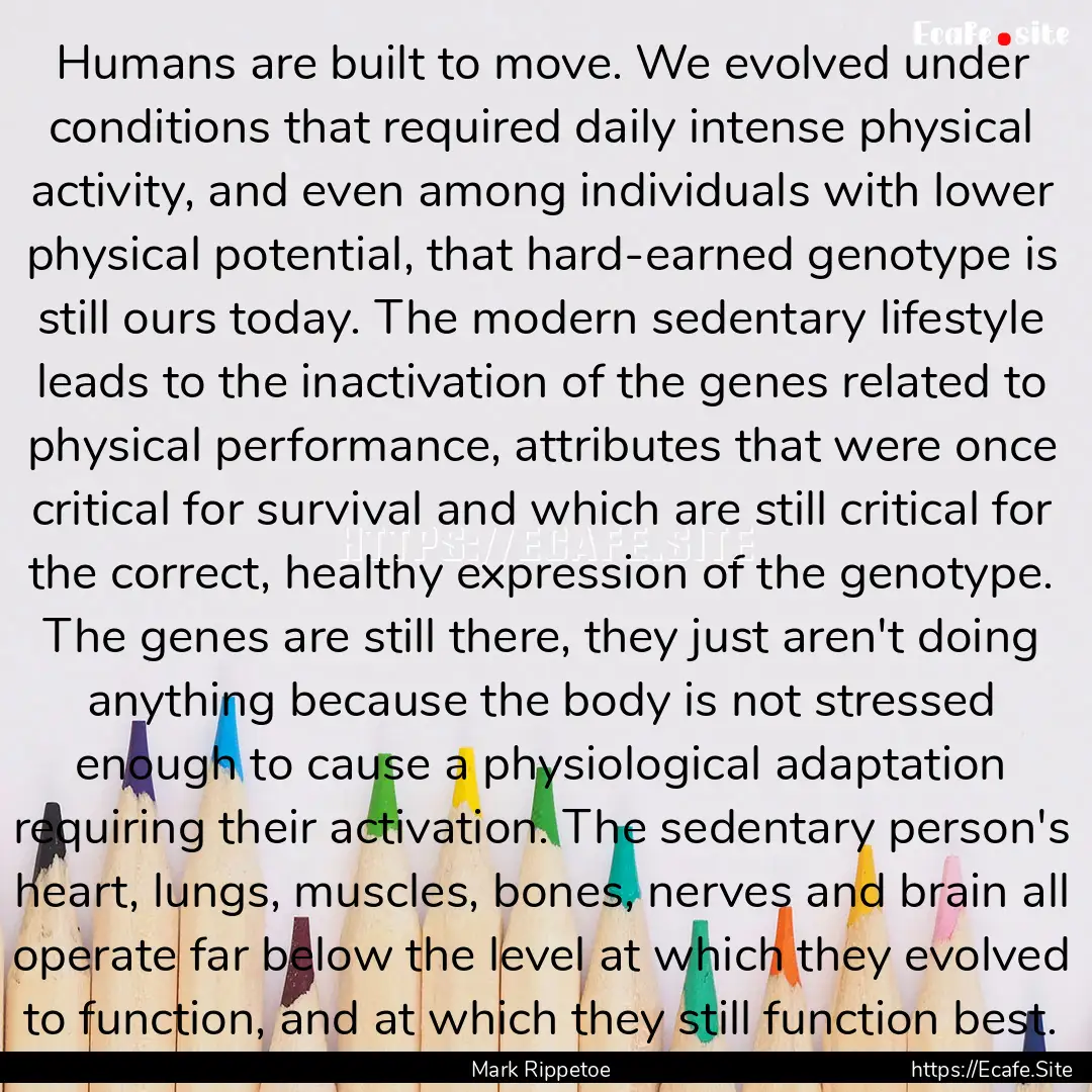 Humans are built to move. We evolved under.... : Quote by Mark Rippetoe